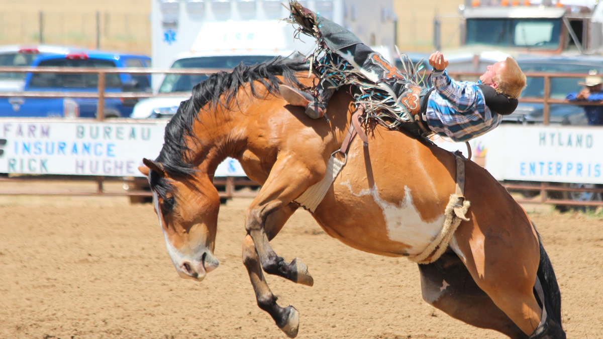 Carbon County Rodeos