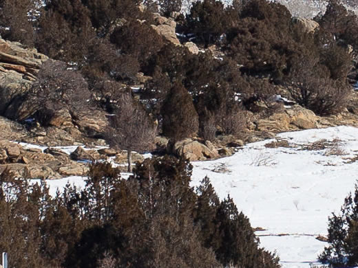 Platte Valley Cabins